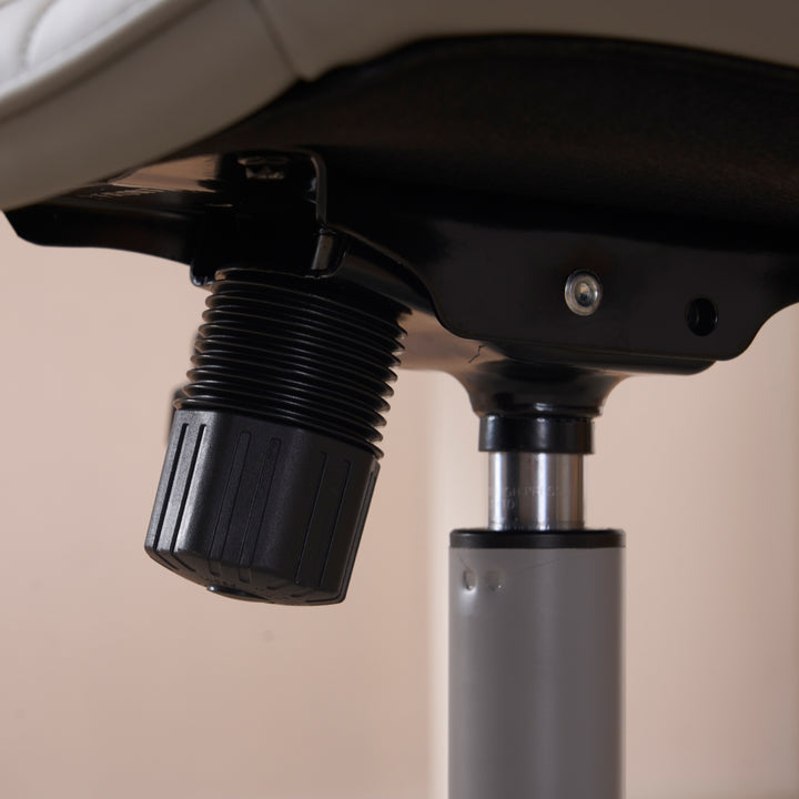 YOUNIKE Office Chair Adjustable Swivel Desk Chair