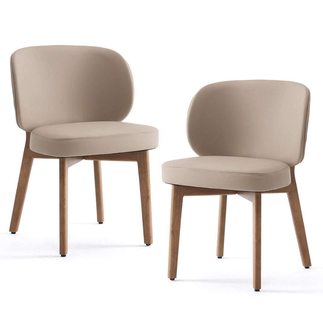 YOUNIKE Dining Chairs Home Accent Chair