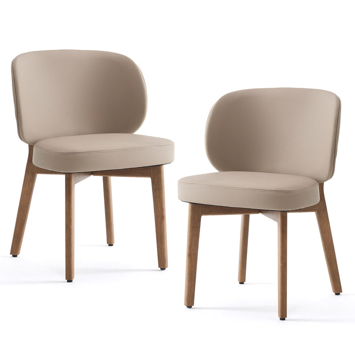 YOUNIKE Dining Chairs Home Accent Chair