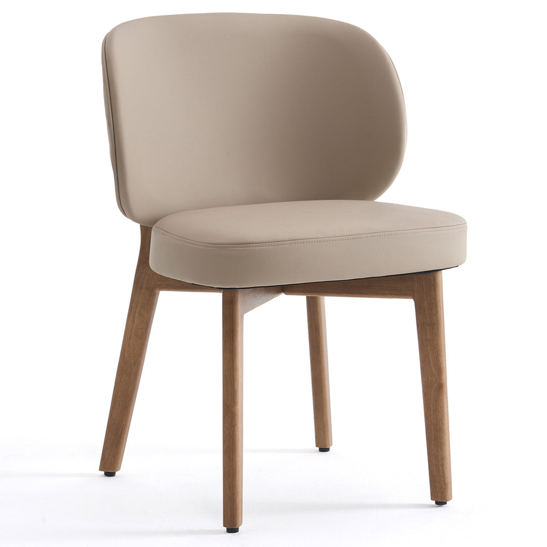 YOUNIKE Dining Chairs Home Accent Chair
