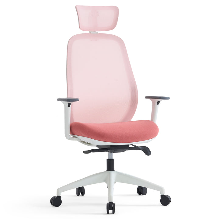 YOUNIKE Office Chair High Back Home Desk Chair with Headrest