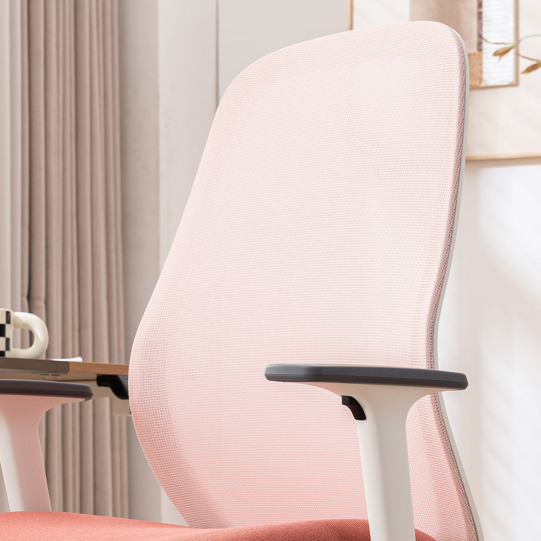 YOUNIKE Ergonomic Office Chair Rolling High-Back Mesh chair