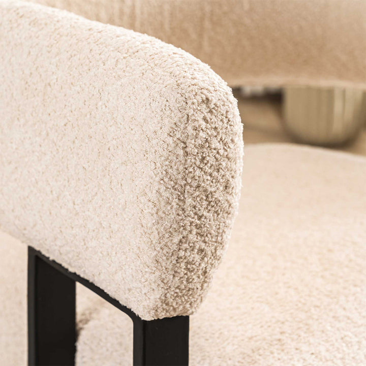 YOUNIKE Accent Chair Home Decor Chairs with Armrest