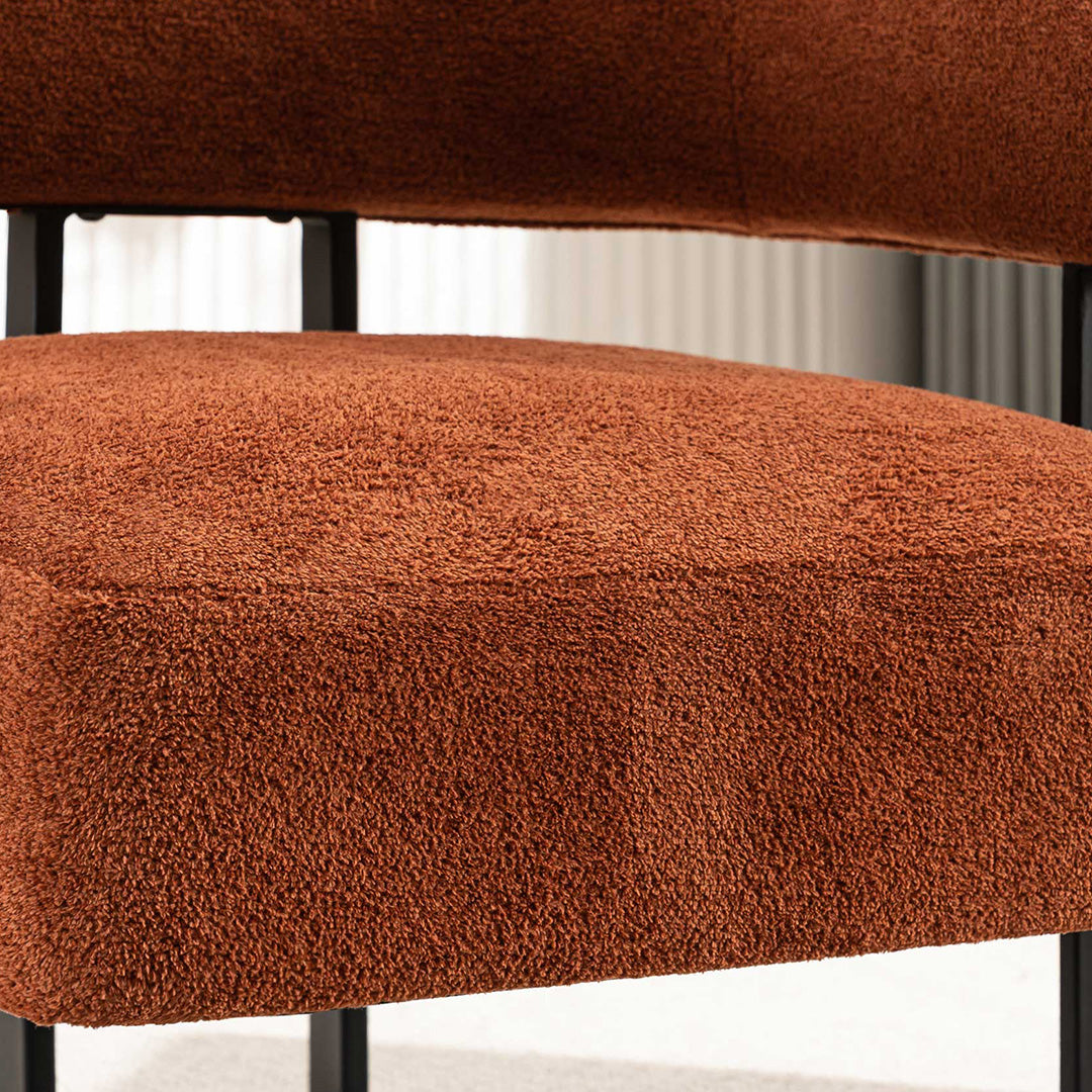 YOUNIKE Accent Chair Home Decor Chairs with Armrest