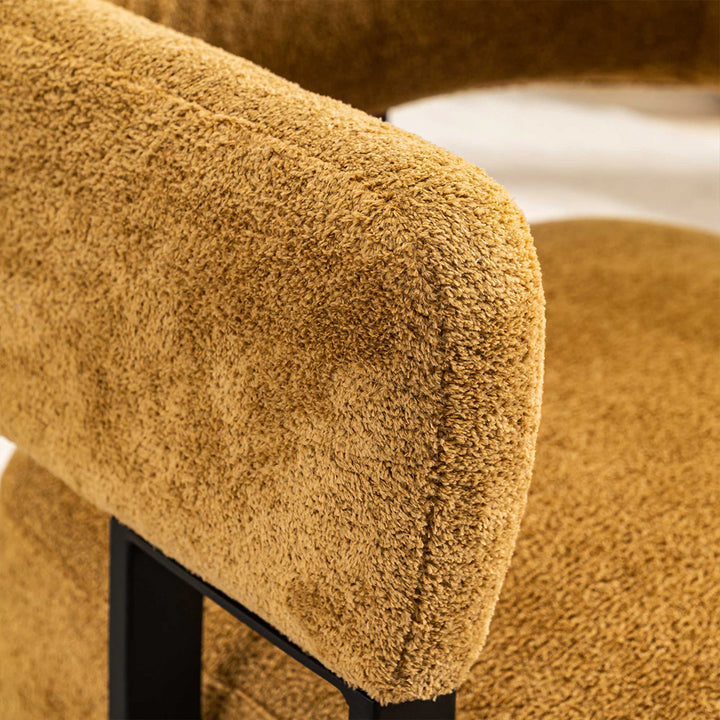 YOUNIKE Accent Chair Home Decor Chairs with Armrest