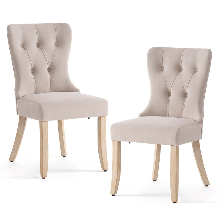 YOUNIKE Dining Chairs Modern Kitchen Chairs with Curved Legs