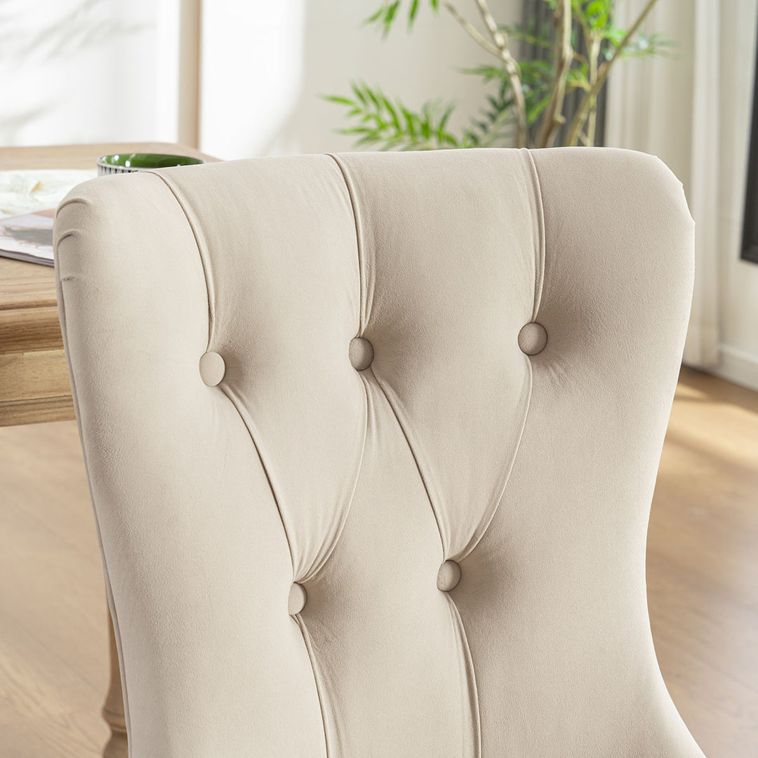 YOUNIKE Dining Chairs Modern Kitchen Chairs with Curved Legs