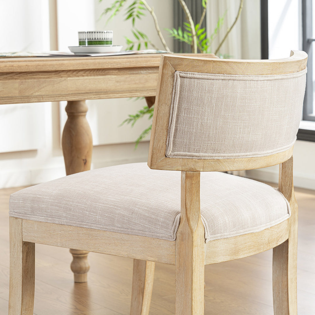 YOUNIKE Modern Dining Chairs Minimalist Kitchen Chairs