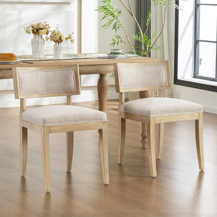 YOUNIKE Modern Dining Chairs Minimalist Kitchen Chairs