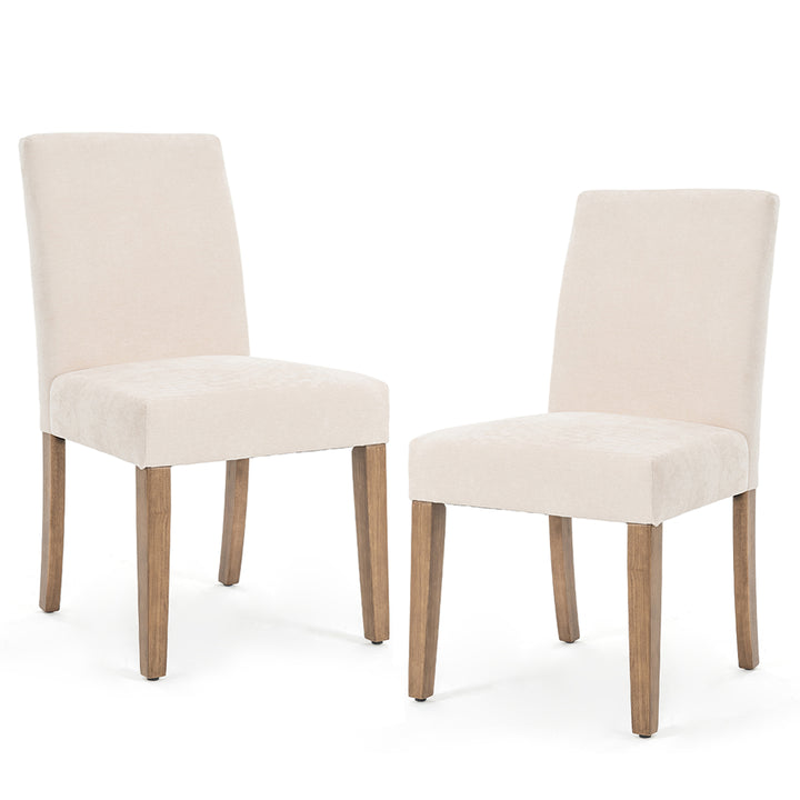 YOUNIKE Dining Chairs Minimalist Kitchen Chair Set of 2