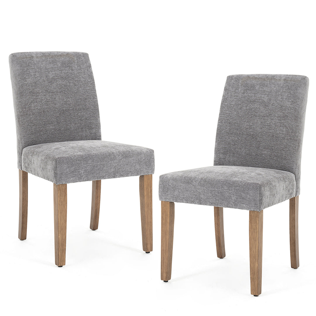 YOUNIKE Dining Chairs Minimalist Kitchen Chair Set of 2