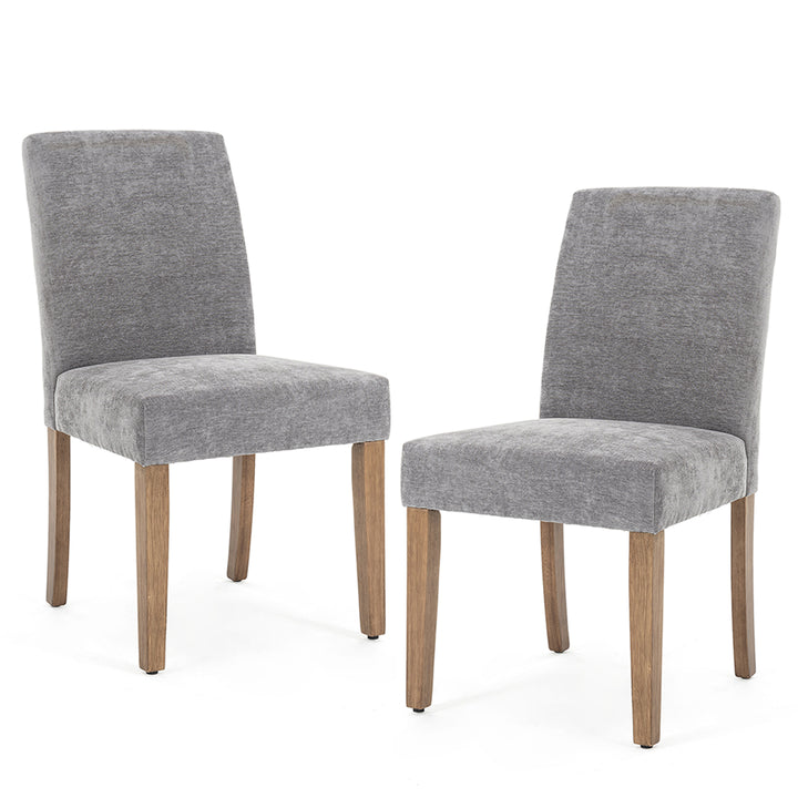 YOUNIKE Dining Chairs Minimalist Kitchen Chair Set of 2