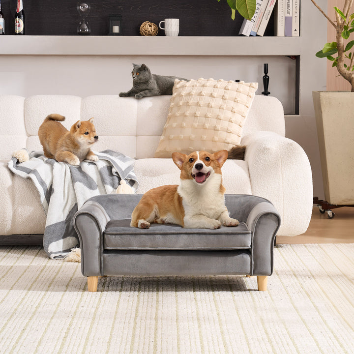 YOUNIKE Dog Bed Orthopedic Pet Sofa